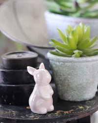 Mini Dolomite Bunny Pink