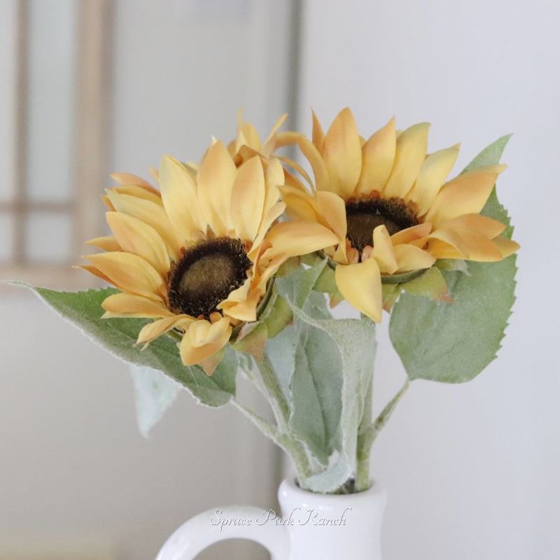 Yellow Sunflower Stem