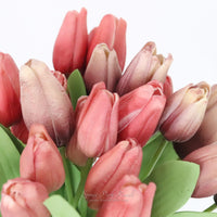 Tulip Bundle Collection Fresh Touch 14.5”
