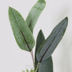 Willow Fresh Touch Eucalyptus Pick Collection