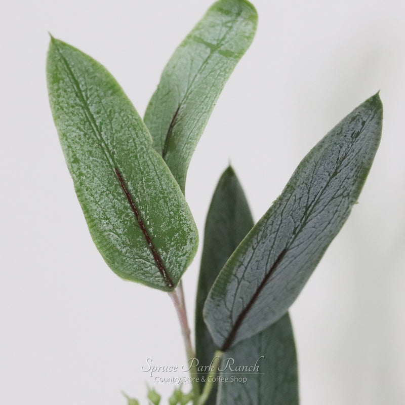 Willow Fresh Touch Eucalyptus Pick Collection