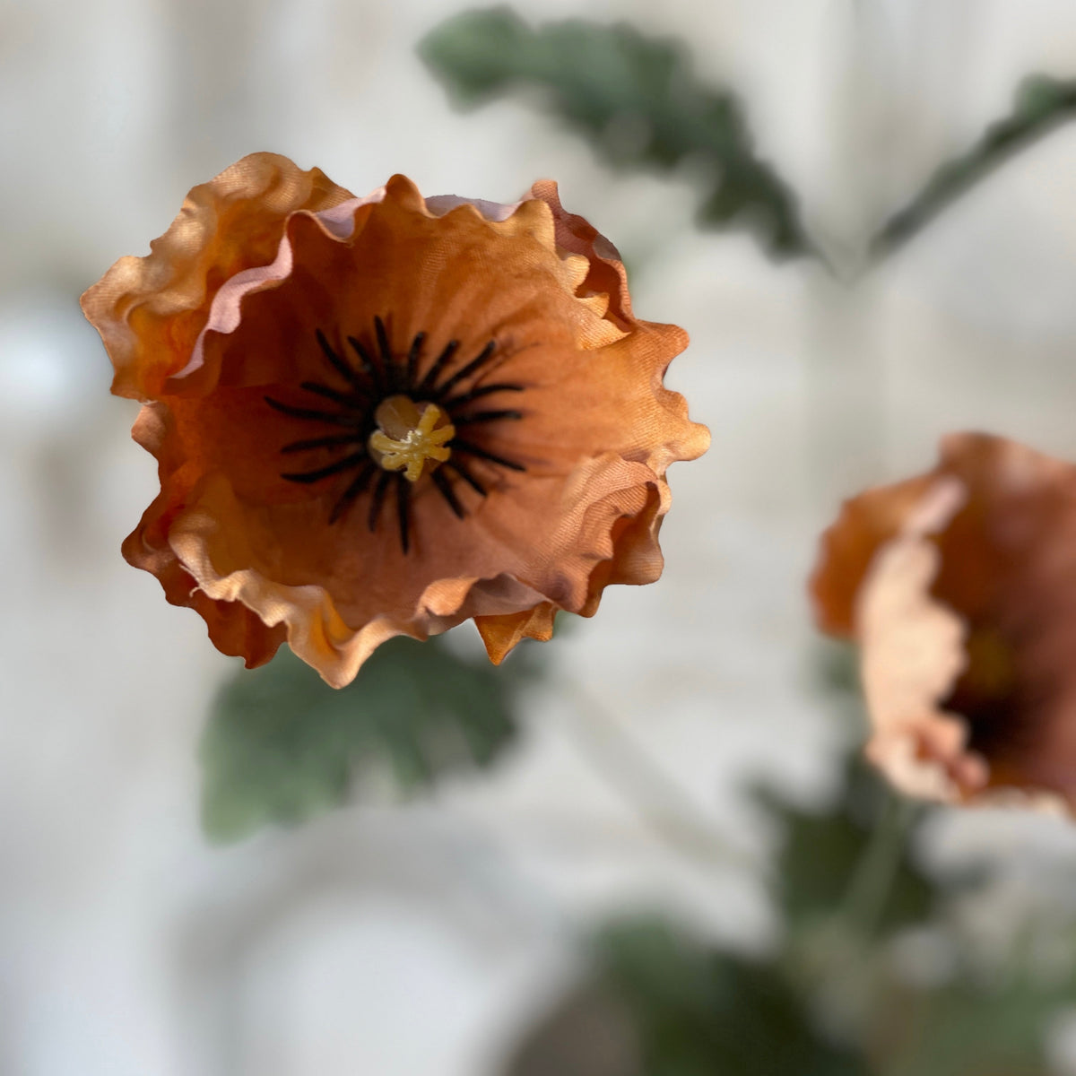 Slumberland Poppy 30"