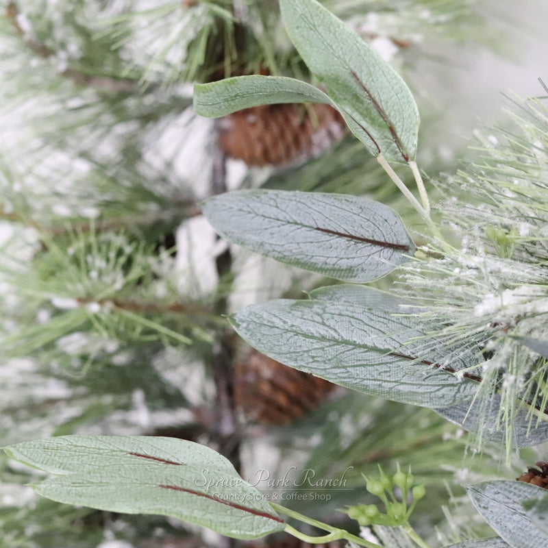 Willow Fresh Touch Eucalyptus Pick Collection
