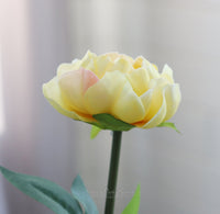 Peony Stem Real Touch 20”