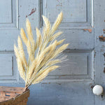 Sungold Barley Greenery Collection