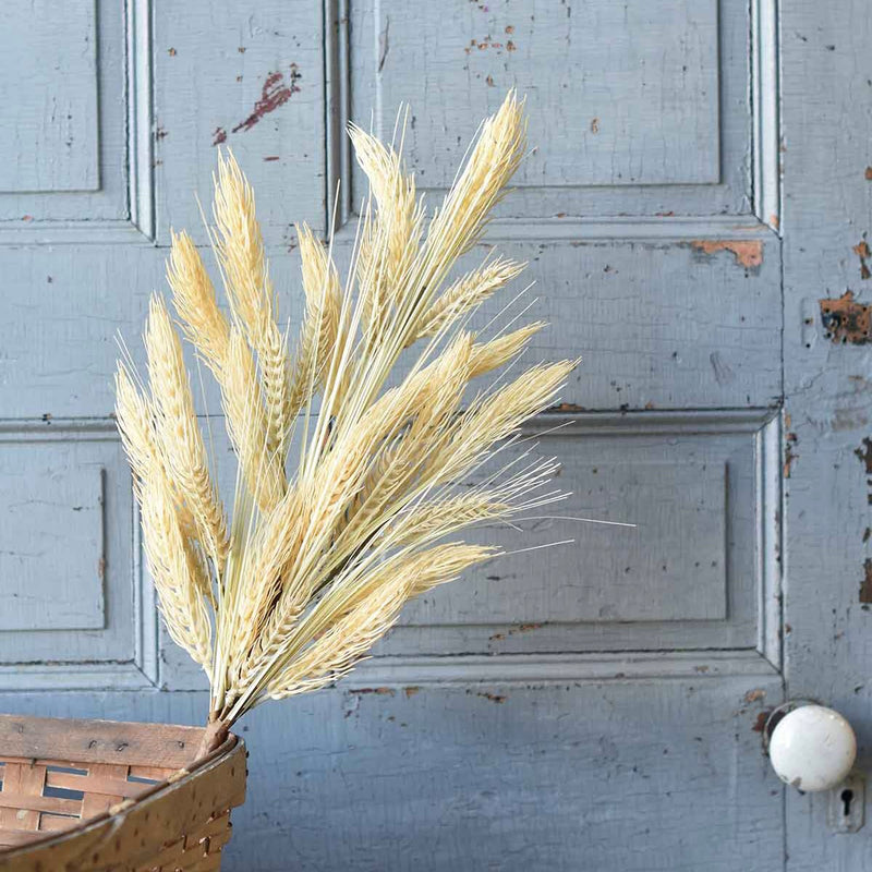 Sungold Barley Greenery Collection