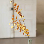 Penny Leaf Eucalyptus Greenery Collection