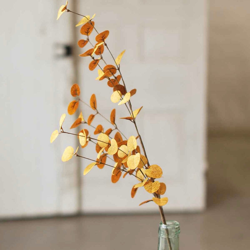 Penny Leaf Eucalyptus Greenery Collection