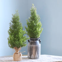 Cedar Tree with Burlap Base