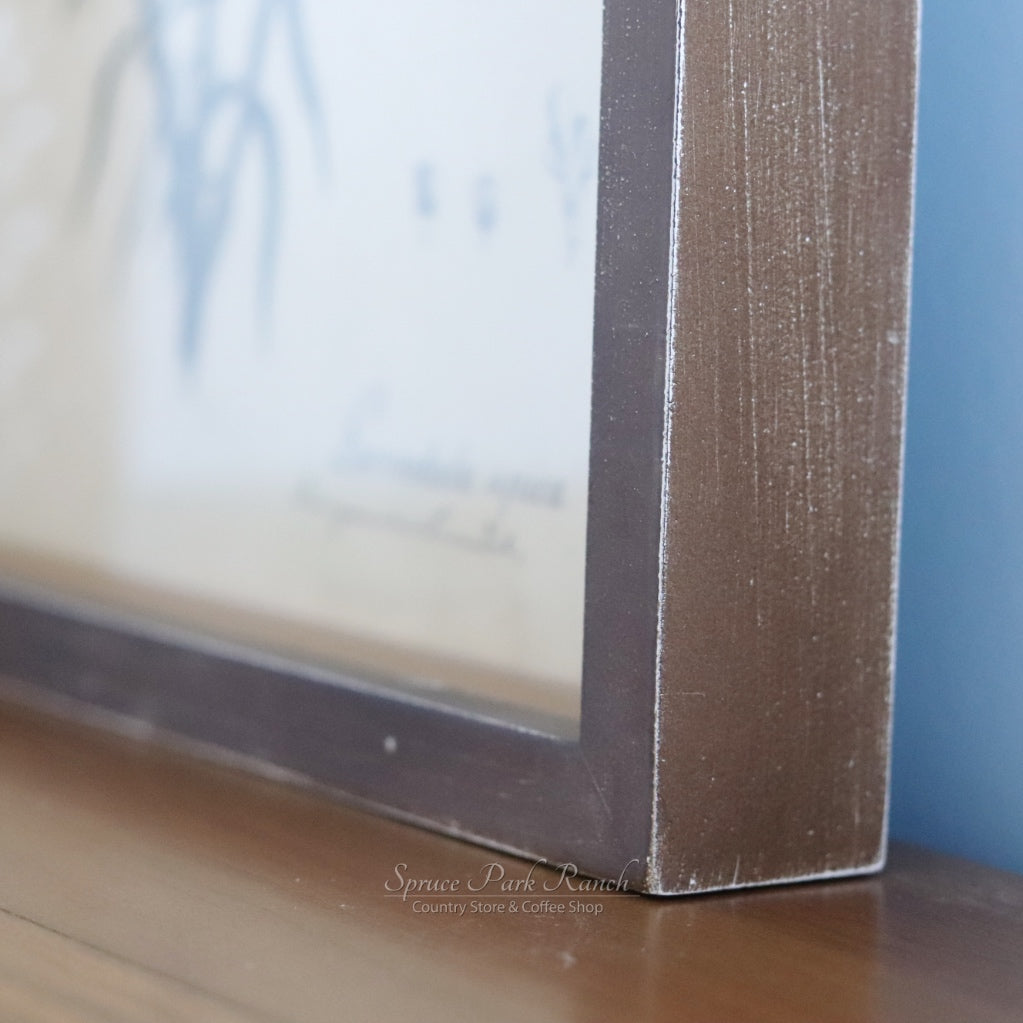 Framed Botanical Print