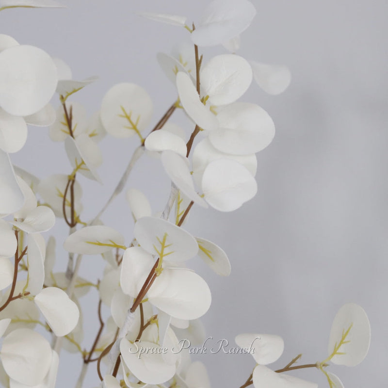 Halo Gleam Eucalyptus Collection