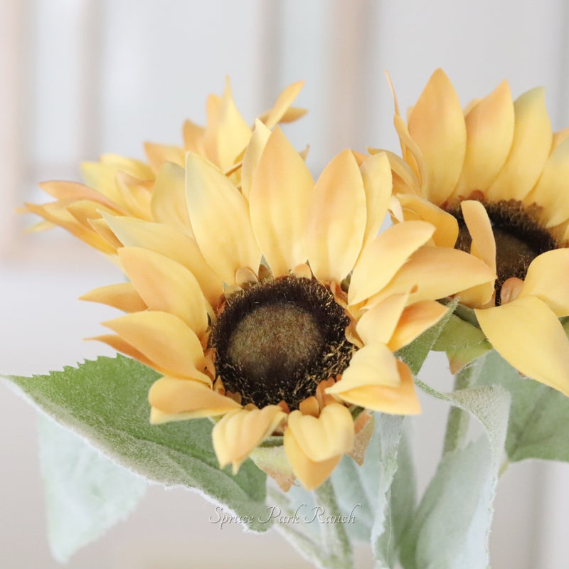 Yellow Sunflower Stem