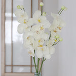 Orchid Stem Fresh Touch 30.5"