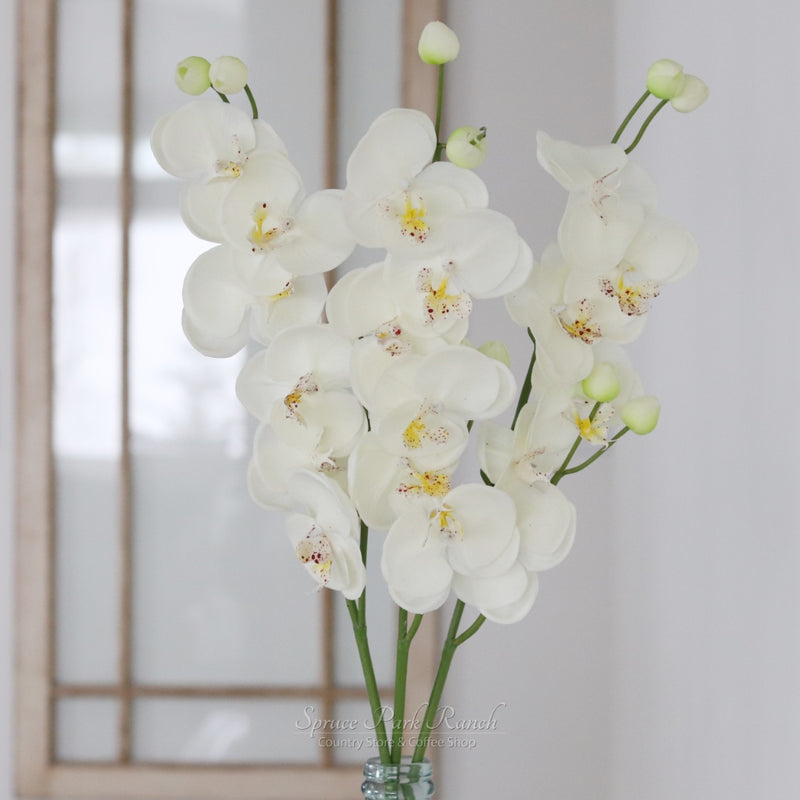 Orchid Stem Fresh Touch 30.5"