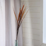 Wheat and Grass Stem