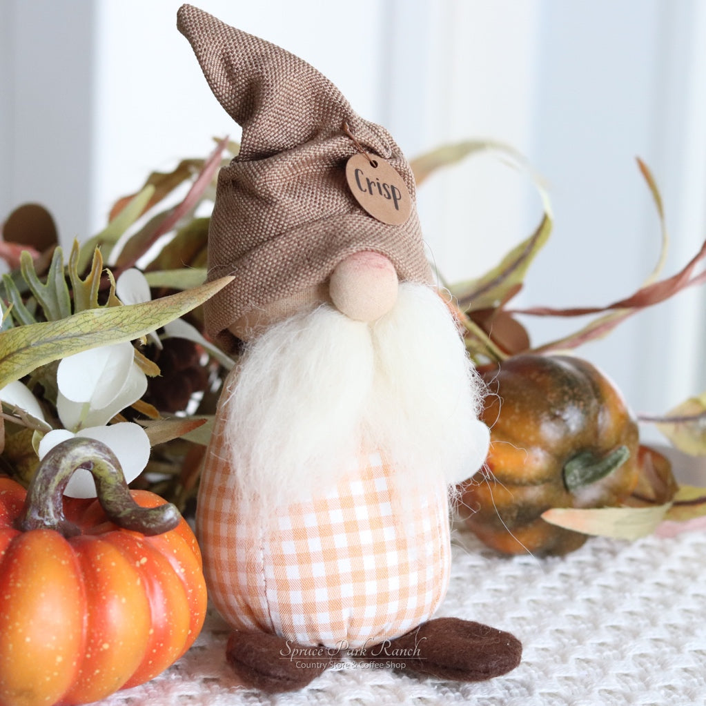 Crisp the Fall Gnome