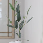 Willow Fresh Touch Eucalyptus Pick Collection