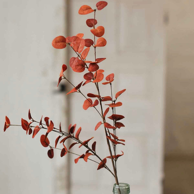 Penny Leaf Eucalyptus Greenery Collection