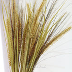 Wheat and Grass Stem
