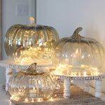 Glass Pumpkin Cloche