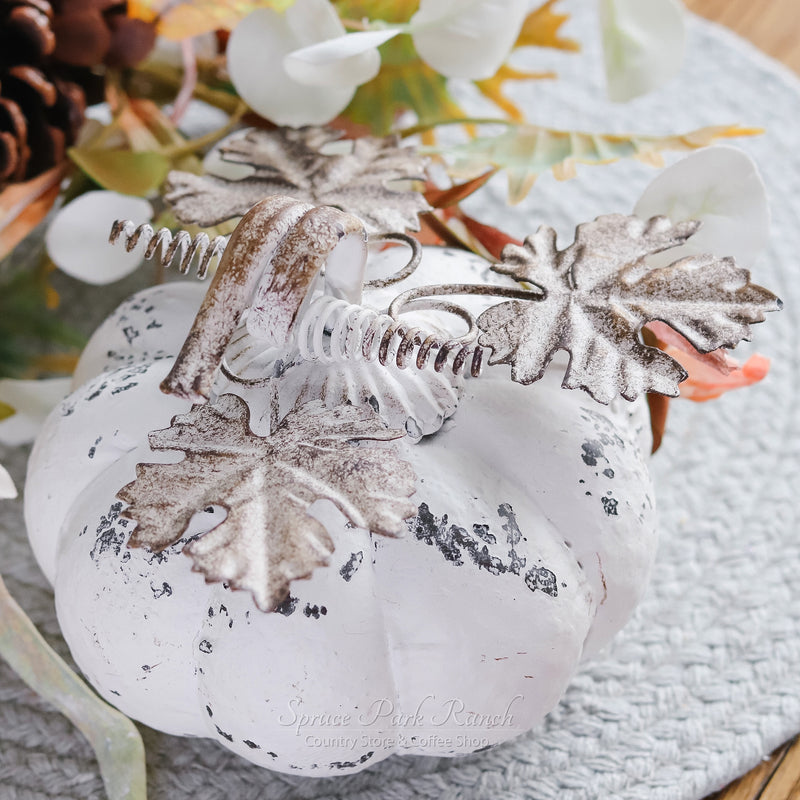 First Frost Pumpkin