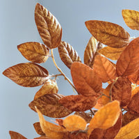 First Fall Greenery Collection