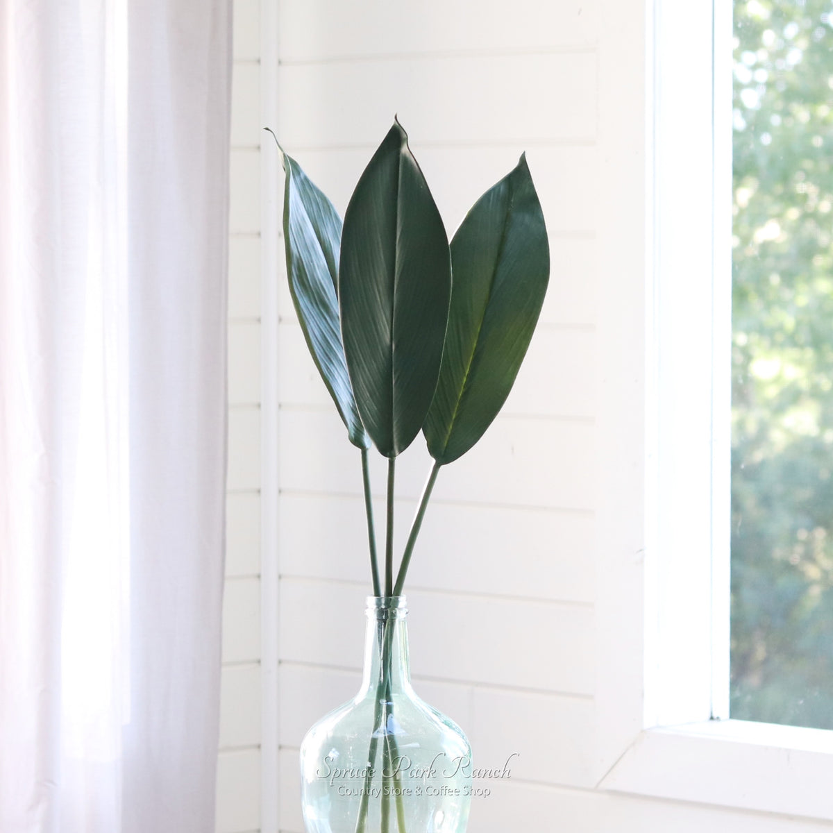 Peace Lily Leaf Stem Real Touch