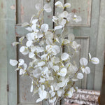 Halo Gleam Eucalyptus Collection