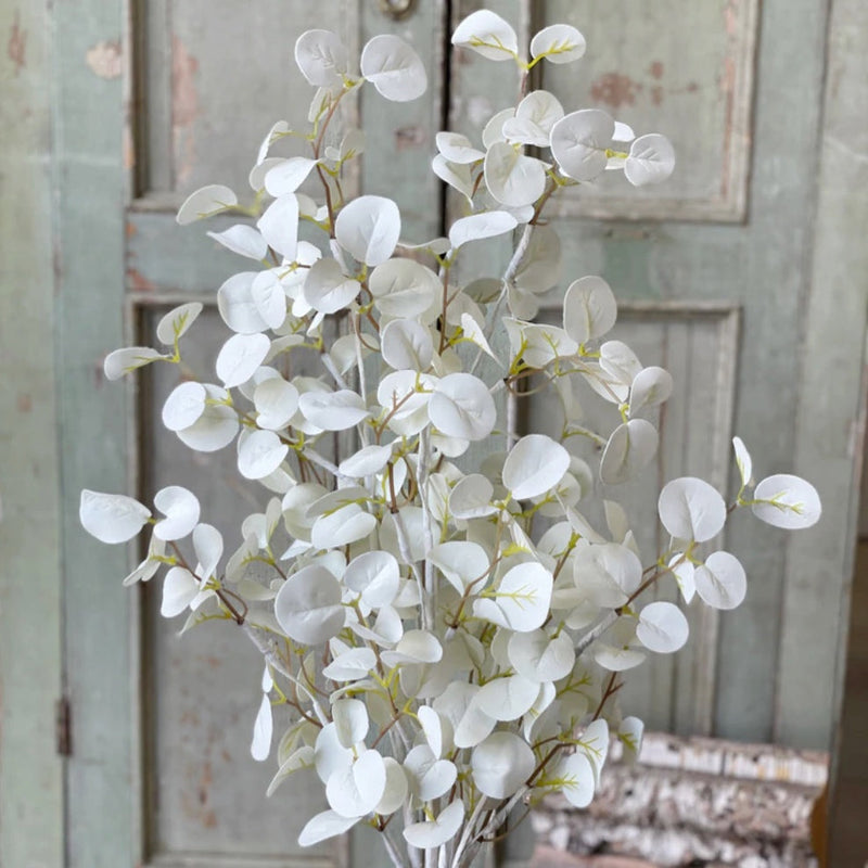 Halo Gleam Eucalyptus Collection