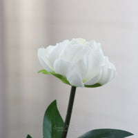 Peony Stem Real Touch 20”