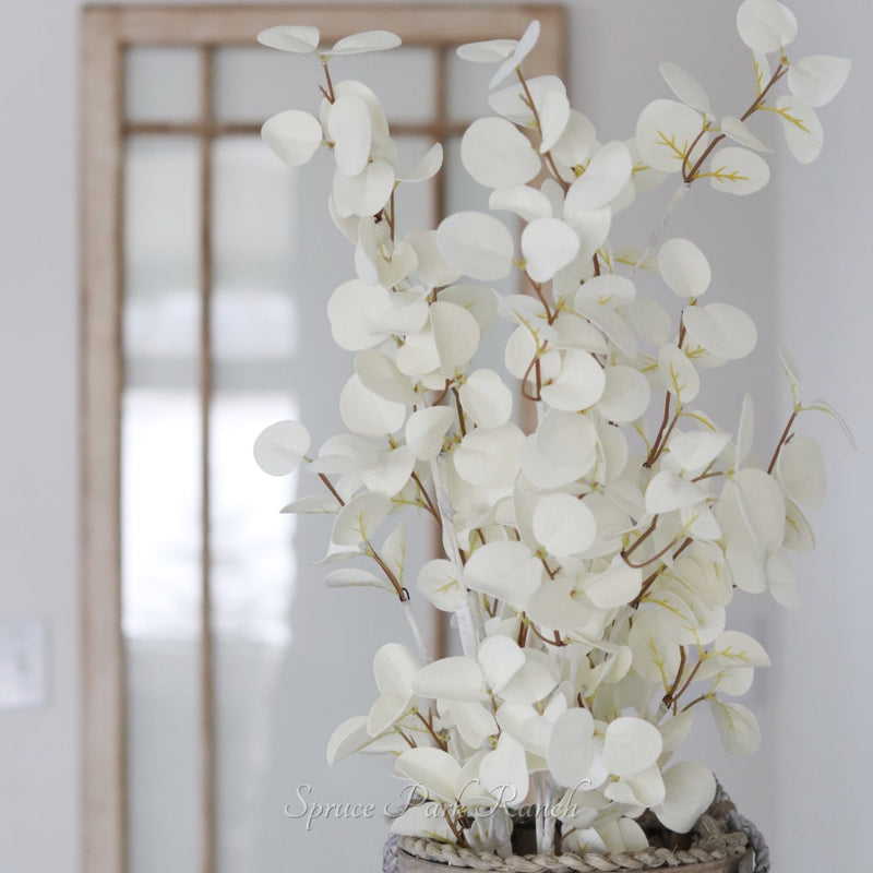 Halo Gleam Eucalyptus Collection