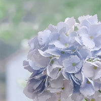 Hydrangea Single Stem Real Touch