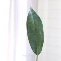 Peace Lily Leaf Stem Real Touch