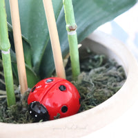 Mini Resin Ladybug