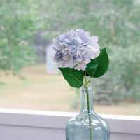 Hydrangea Single Stem Real Touch