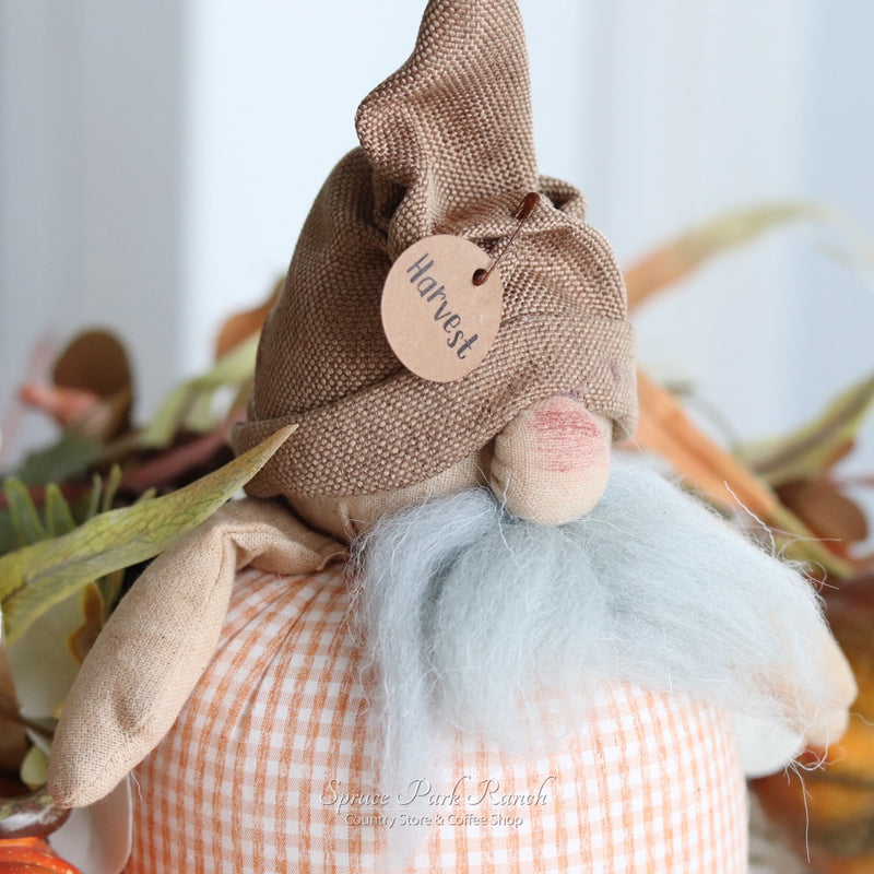 Harvest The Fall Gnome