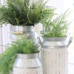 Galvanized Distressed Whitewashed Container Collection