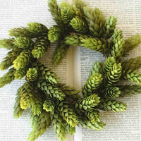 Hops Green Greenery Collection