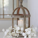 Halo Gleam Eucalyptus Collection