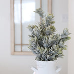 Cape Bay Greenery Collection