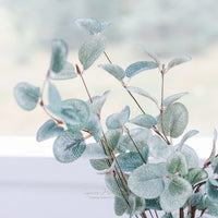 Garden Eucalyptus Greenery Collection