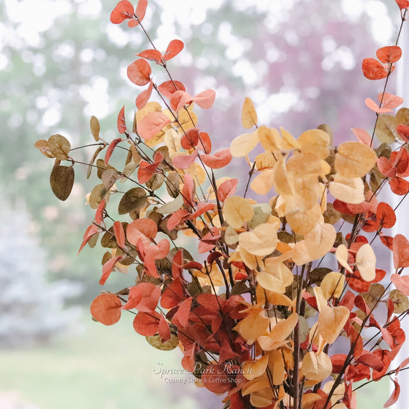 Penny Leaf Eucalyptus Greenery Collection