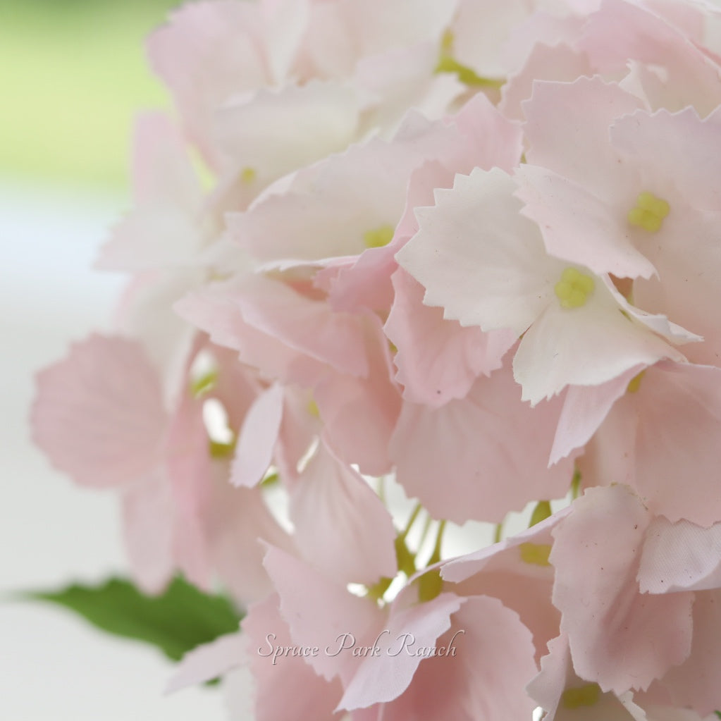 Hydrangea Single Stem Real Touch