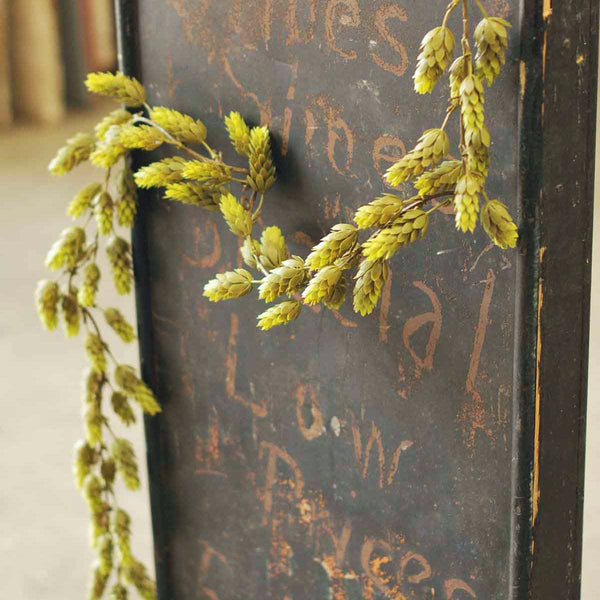 Hops Green Greenery Collection