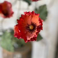 Slumberland Poppy 30"