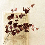 Falling Leaves Spray Greenery Collection
