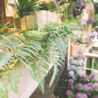 Mixed Fern Garland Fresh Touch