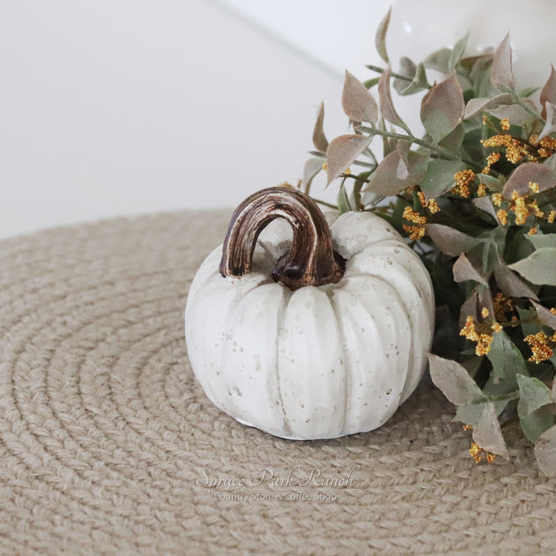 Harvest Pumpkin Small