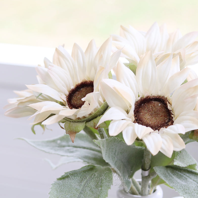 White Sunflower Stem