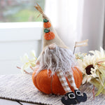 Gnome Sitting On Pumpkin
